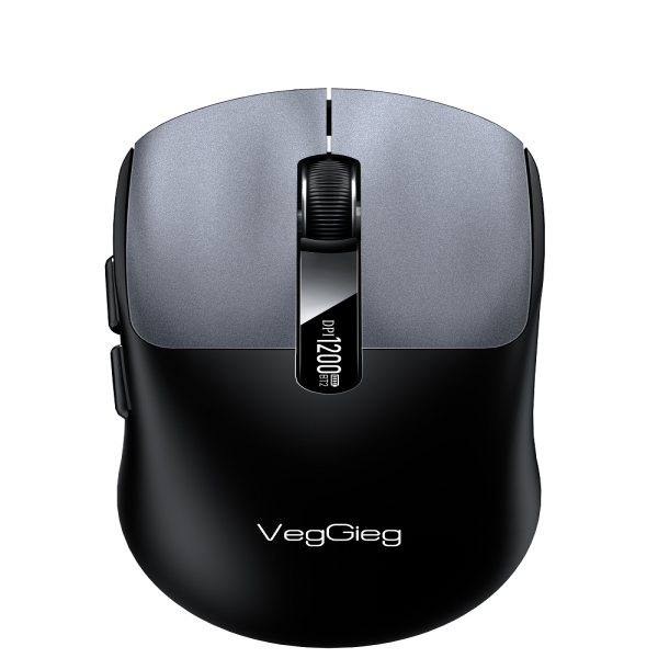 Chuột Không Dây (  Wireless & Bluetooth +USB ) G900 veggieg